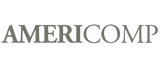 Chiro Image 2 - Americomp