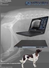 Maven Handheld and Patient Image DR panel package