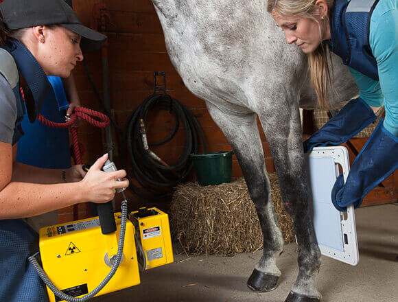 MinXray HF100+ Ultra Light - Veterinary X-ray