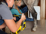 MinXray HF8020 - Veterinary X-ray