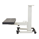 710C 3 Panel Mobile DR Positioning Partner