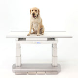 VetRay Digital Elevet X-Ray