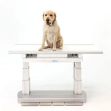 VetRay Elevet – Analog X-Ray