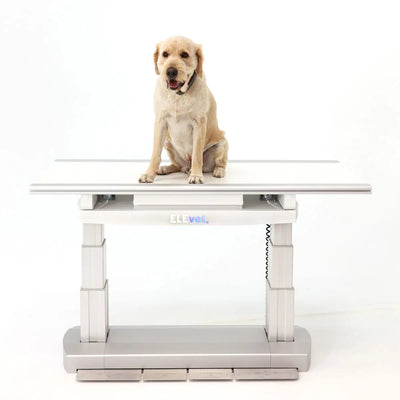 VetRay Elevet – Analog X-Ray