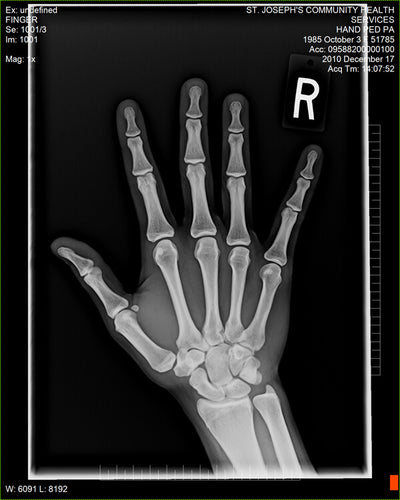 Fujifilm -  D-EVO Suite (OTCx & FSx)