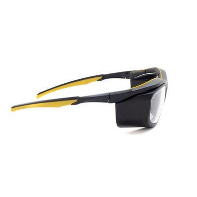 Economy Radiation Safety Glasses