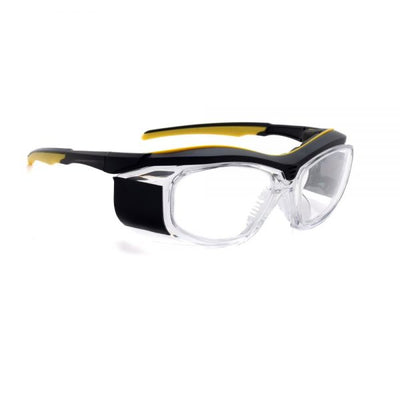 Economy Radiation Safety Glasses