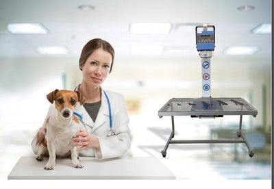 DIRECTVET - Veterinary Portable X-ray System with Digital X-ray Panel