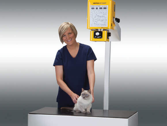 MinXray SA100AP - Veterinary Digital Radiography