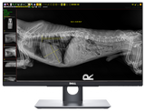 20/20 VFPH Hybrid 17x17 Veterinary Direct Digital Imaging System - DR Panel