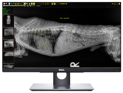 20/20 VFPW Wireless 14x17 Veterinary Direct Digital Imaging System - DR Panel