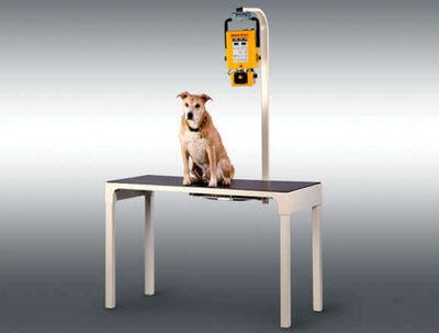 MinXray XRT300 Compact Table - Veterinary X-ray